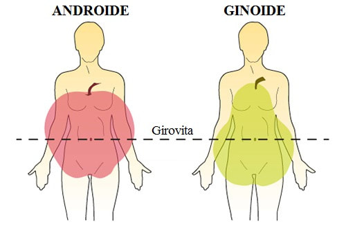 androide e ginoide